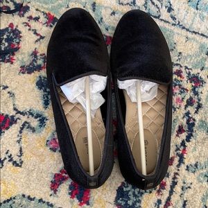 Birdies “the starling” black velvet 7.5